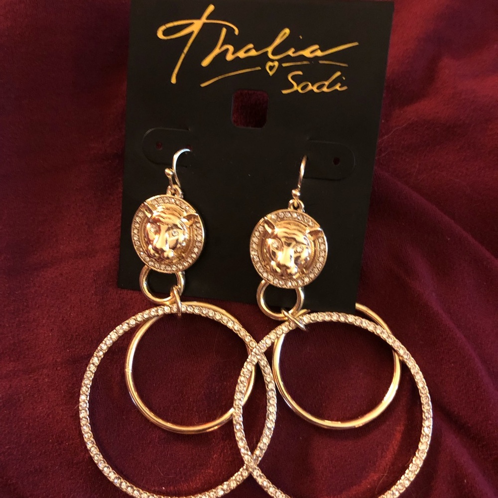 Great lion and loops!